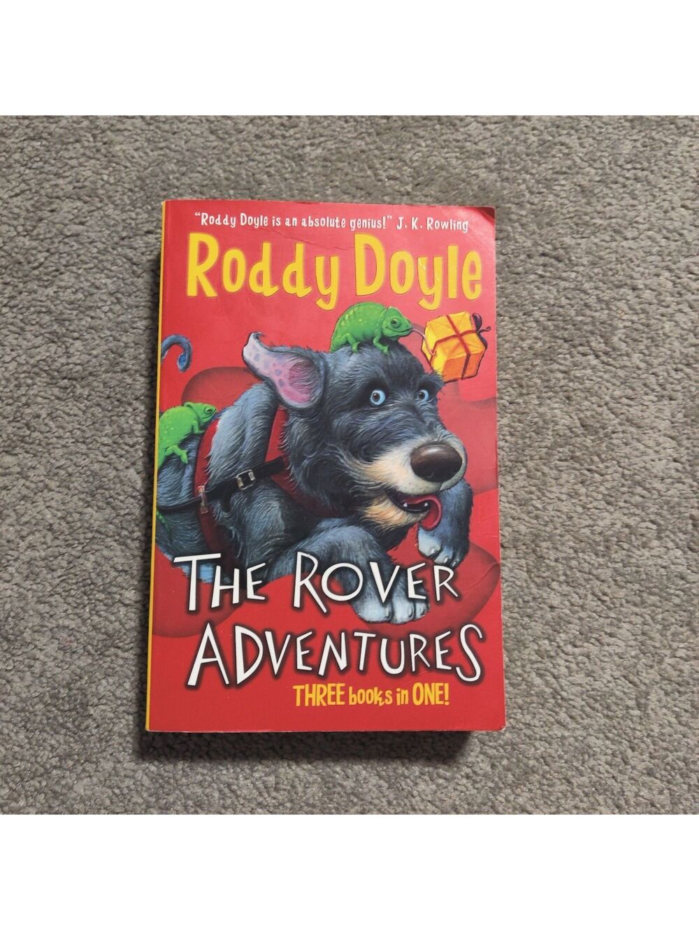 The Rover Adventures by Roddy Doyle 3 Books in One Paperback Scholastic
